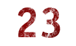 23